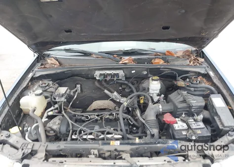 2008 Ford Escape Xlt z USA, uszkodzony, nr VIN 1FMCU03Z68KD50434